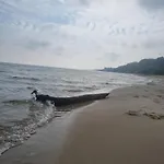 Na Klifie B33 * Władysławowo