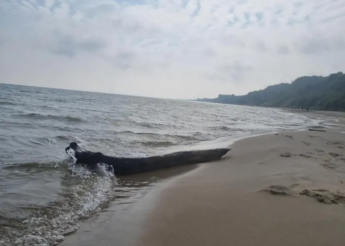 Na Klifie B33 * Władysławowo